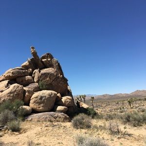 Meet your Posher, Phoebe